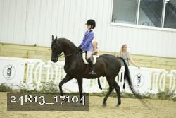 24R13_17104 thumbnail