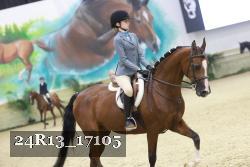 24R13_17105 thumbnail