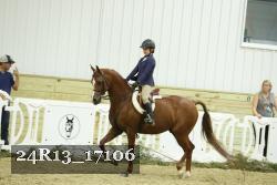 24R13_17106 thumbnail