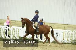 24R13_17107 thumbnail