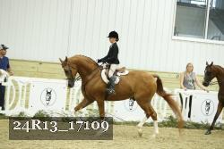 24R13_17109 thumbnail