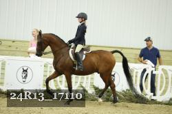 24R13_17110 thumbnail