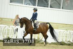 24R13_17111 thumbnail