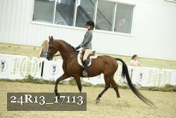 24R13_17113 thumbnail