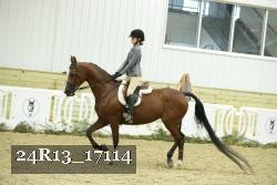 24R13_17114 thumbnail