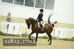 24R13_17115 thumbnail
