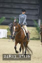 24R13_17116 thumbnail