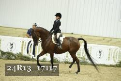 24R13_17117 thumbnail