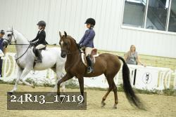 24R13_17119 thumbnail