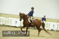 24R13_17123 thumbnail