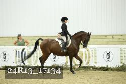 24R13_17134 thumbnail