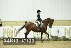 24R13_17135 thumbnail