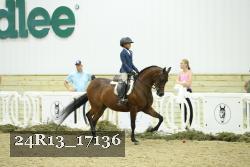 24R13_17136 thumbnail