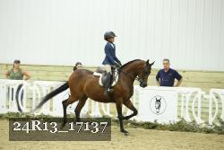 24R13_17137 thumbnail
