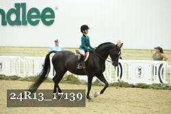 24R13_17139 thumbnail