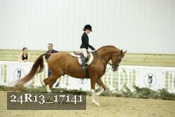 24R13_17141 thumbnail
