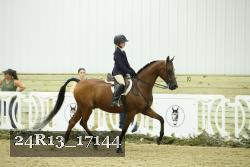 24R13_17144 thumbnail