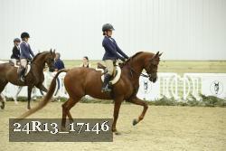 24R13_17146 thumbnail