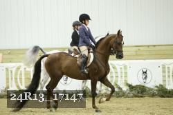 24R13_17147 thumbnail