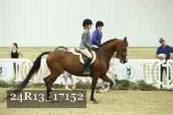 24R13_17152 thumbnail
