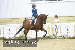 24R13_17153 thumbnail