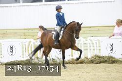 24R13_17154 thumbnail