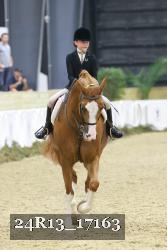 24R13_17163 thumbnail
