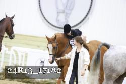 24R13_17182 thumbnail
