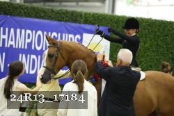 24R13_17184 thumbnail
