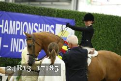 24R13_17185 thumbnail