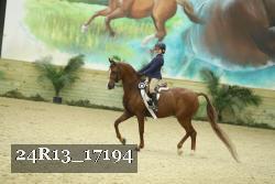 24R13_17194 thumbnail