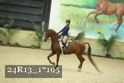 24R13_17195 thumbnail