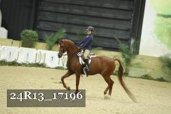 24R13_17196 thumbnail