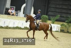 24R13_17197 thumbnail