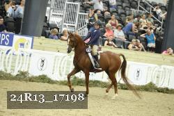 24R13_17198 thumbnail