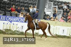 24R13_17199 thumbnail
