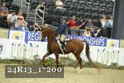 24R13_17200 thumbnail