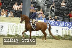 24R13_17201 thumbnail