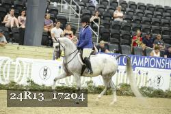 24R13_17204 thumbnail