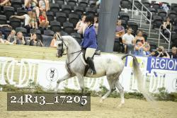 24R13_17205 thumbnail