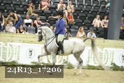 24R13_17206 thumbnail