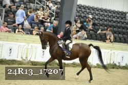 24R13_17207 thumbnail
