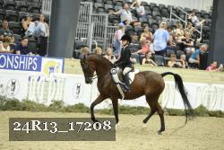 24R13_17208 thumbnail