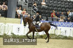 24R13_17210 thumbnail