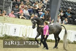 24R13_17222 thumbnail