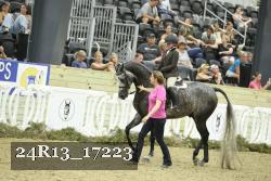 24R13_17223 thumbnail