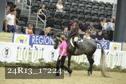 24R13_17224 thumbnail