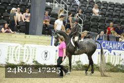 24R13_17225 thumbnail