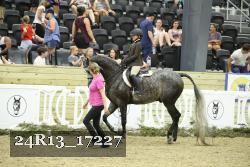 24R13_17227 thumbnail