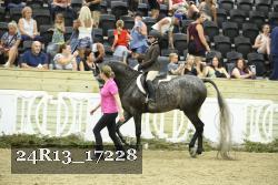 24R13_17228 thumbnail